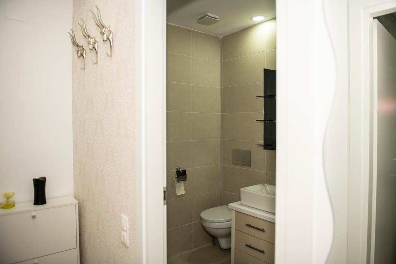 Raphael Apartment North Bucharest Cosmopolis Stefanestii de Jos Экстерьер фото